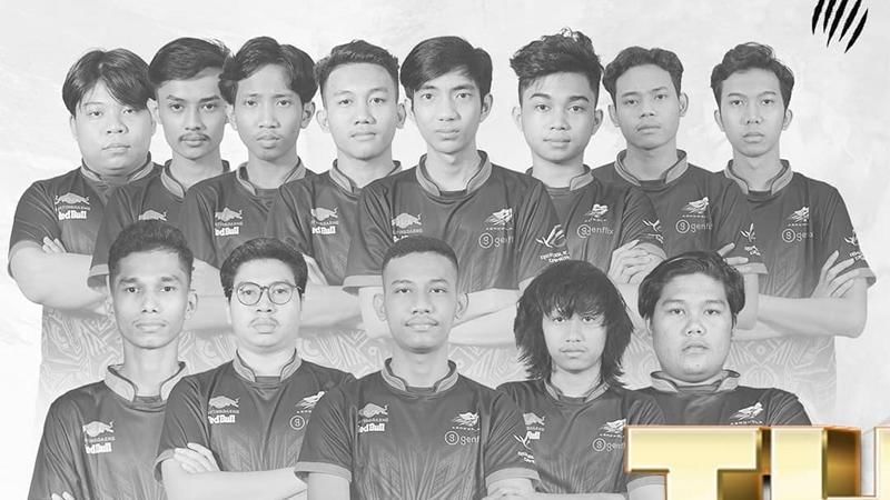 Dok. Aerowolf Pro Team