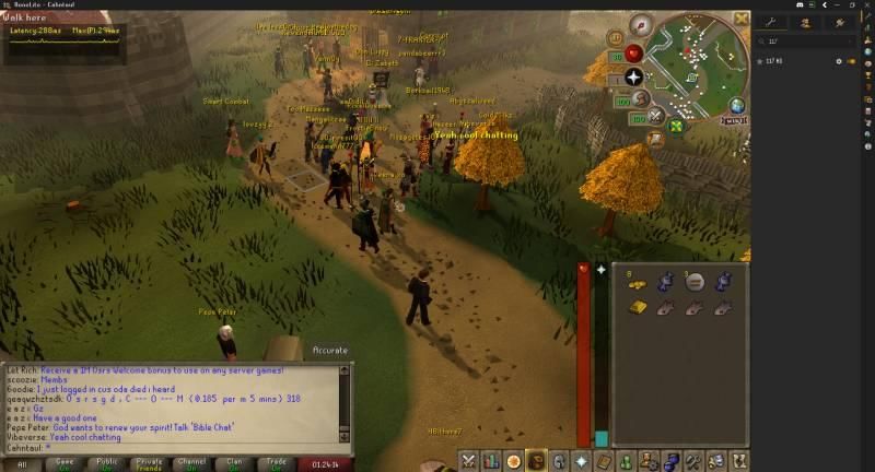 117 HD mampu mengubah grafis Old School RuneScape menjadi lebih modern, namun penulis secara pribadi lebih menyukai grafis orisinil yang ditawarkan.